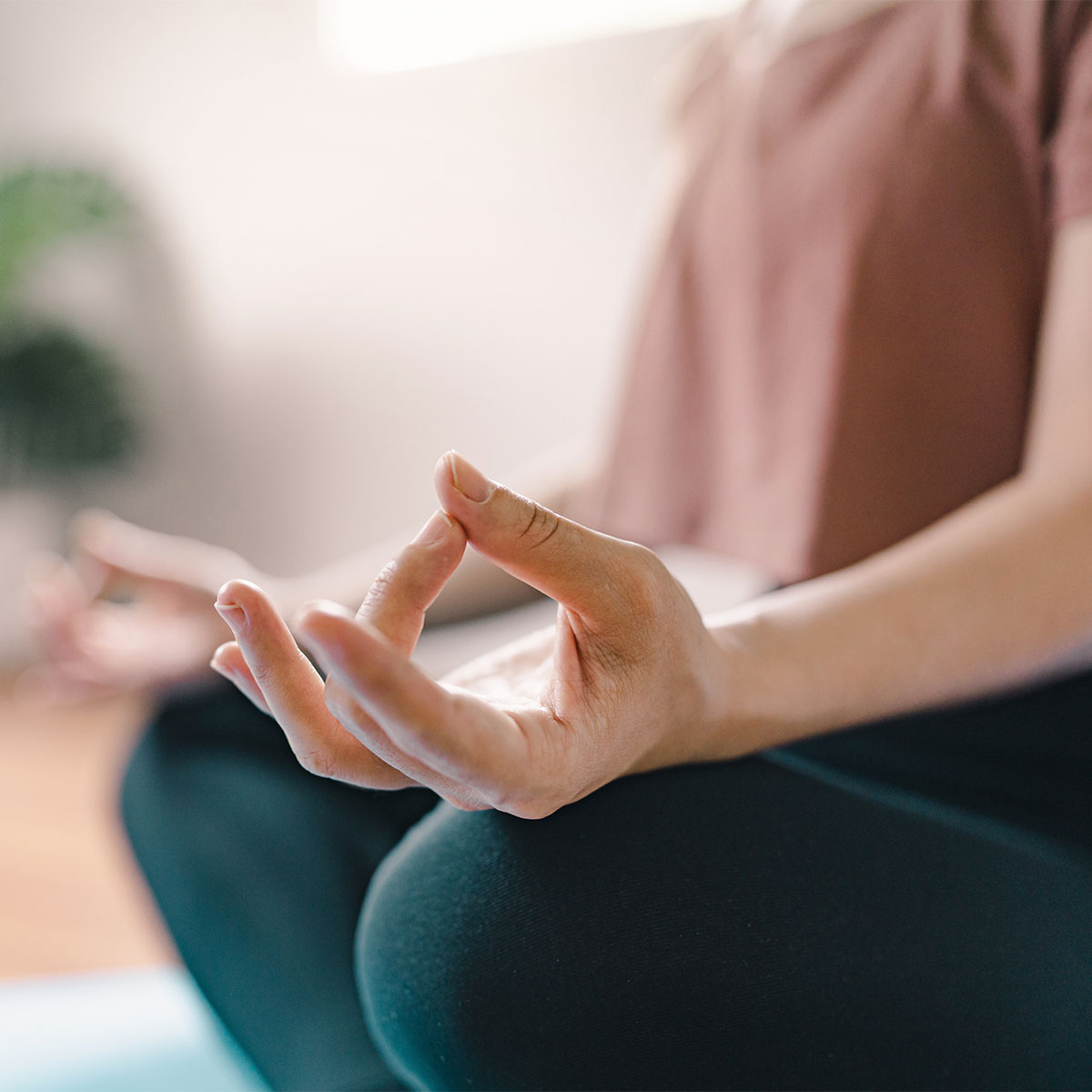 Primordial Sound Meditation Training (4 Classes)